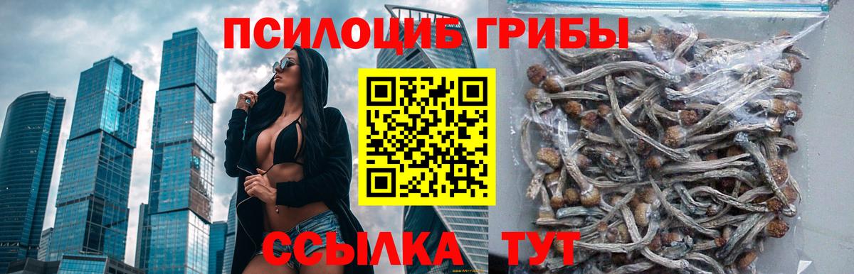 Новочеркасск  Галлюциногенные грибы ЛСД  Вход с VPN 